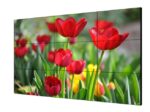 🖥️ Monitor Videowall Profesional Hikvision DS-D2055LU-Y - Image 2